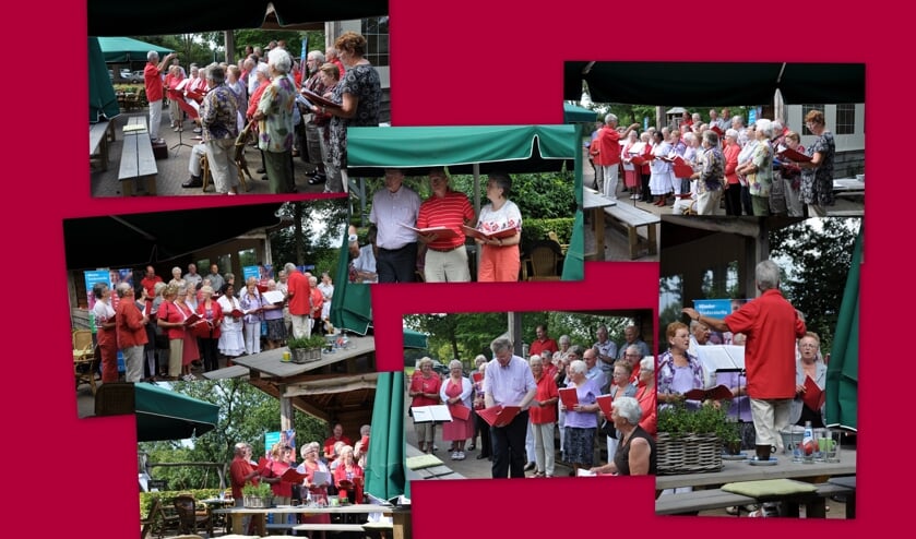Optreden in 2009 in Ruurlo