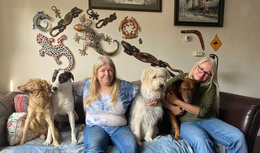 <p>Hope, Freya, Andrea, Jazzie, Banshee en Susie. Ze passen precies met z'n zessen op de bank. Foto: Karin van der Velden</p>