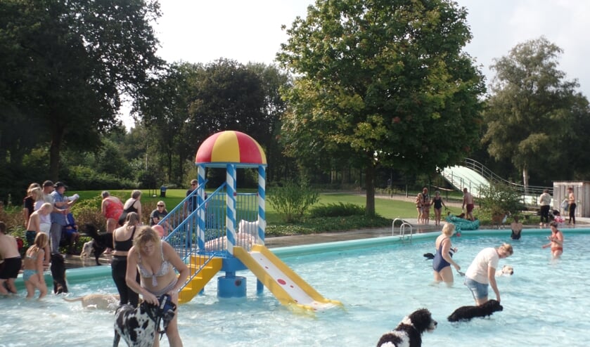 vingerafdruk Gelukkig schuifelen Blije honden en vrolijke baasjes in zwembad De Meene