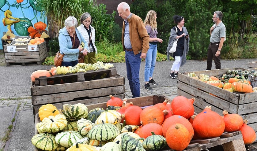Vlnr Riet ter Maat en haar zus Liesbeth en haar man Poost Pot uit Groningen (waren op bezoek bij familie in Doetinchem). Daarachter Stadsboerin Ellen Willems in gesprek.