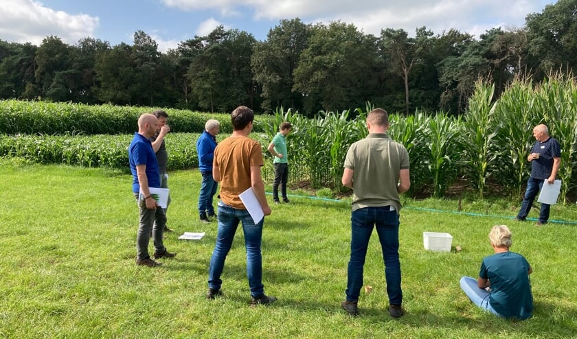 De bijeenkomst voor deelnemers en betrokken partijen van het project Waterwijs Boeren op Proefboerderij de Marke. Foto: PR