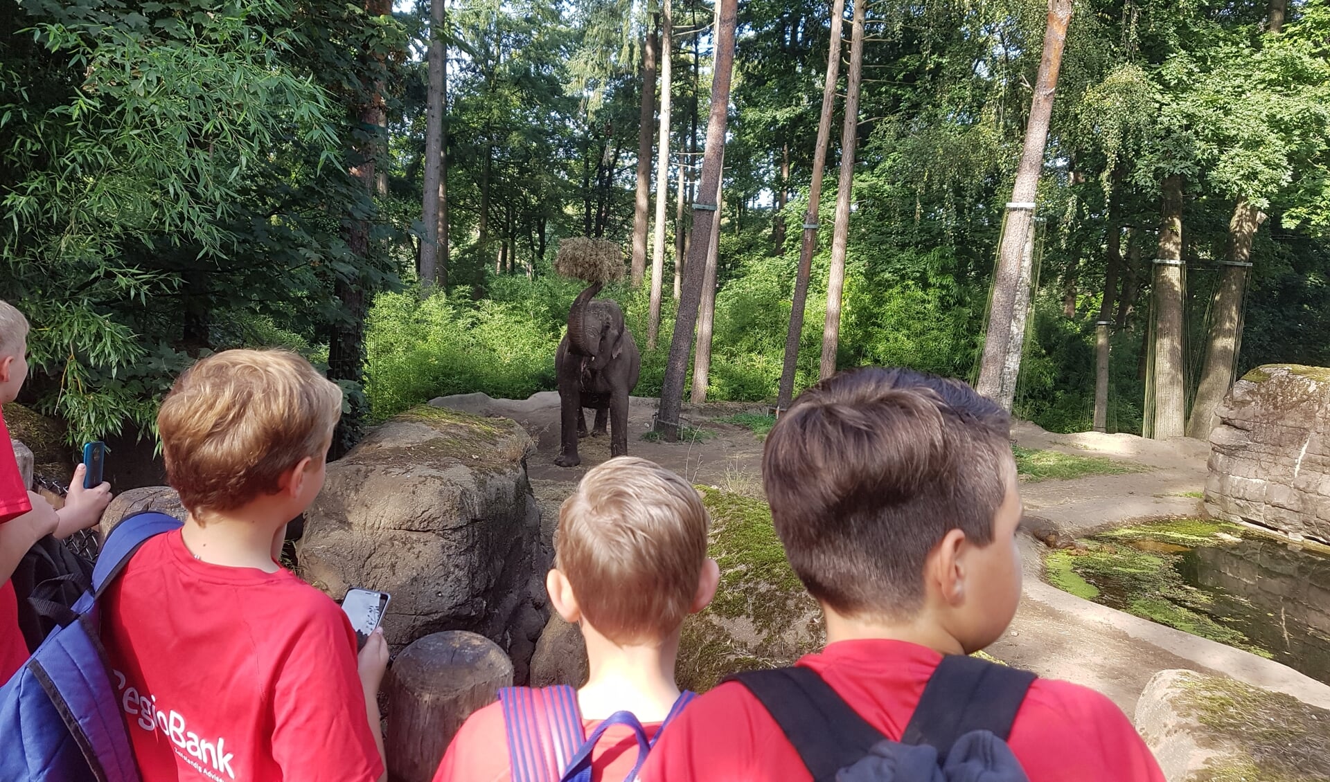 In Burgers' Zoo was een van de 'zekerheidjes' een kijkje bij de indrukwekkende olifant. Foto: PR