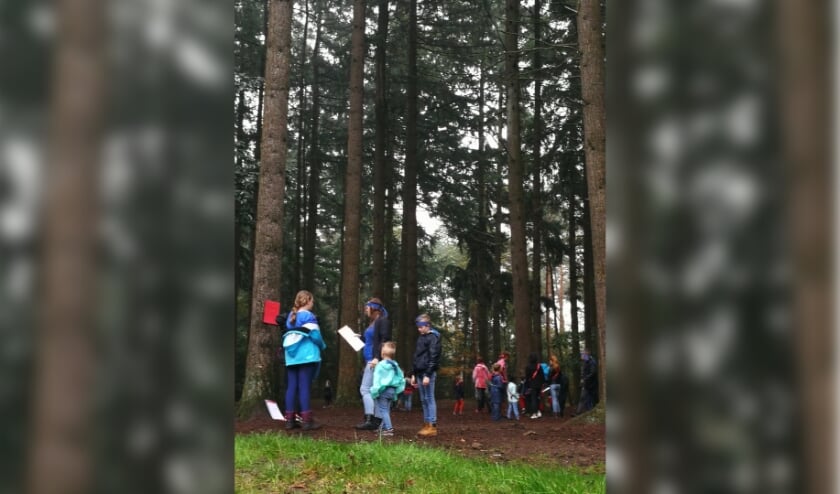 Kinderen voeren in gemengde groepen opdrachten uit. Foto: F. Masselink