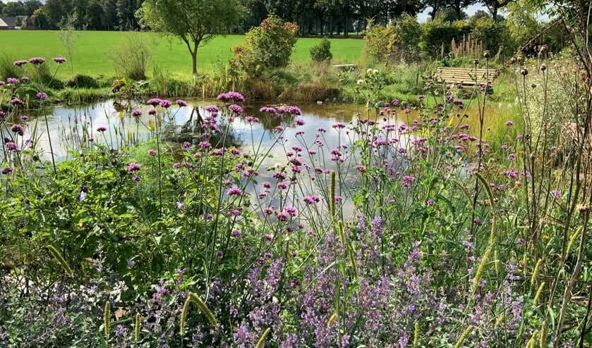 Kleurrijk nazomeren bij De Tuin Rondom. Foto: PR De Tuin Rondom