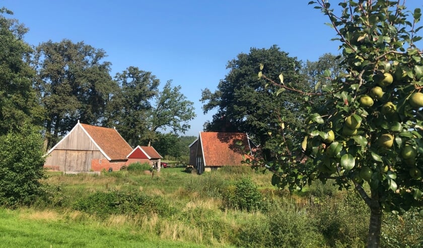 Keunenhuis gezien vanaf de achterzijde. Foto: Willy Stemerdink