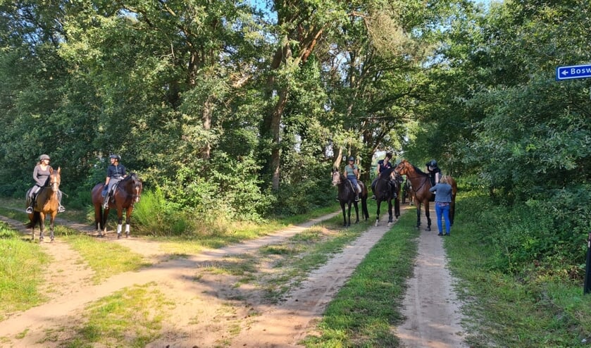 <p>De Hap & Stap-rit van vanaf het oefenterrein ‘t Windöllenveld van LR en PC Ruurlo aan de Rommelderdijk voerde over zandwegen en door bossen. Foto: PR</p>