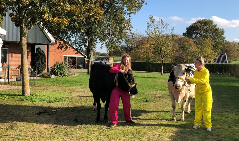 <p>Een koe knuffelen is een van de activiteiten in het IVN beleefweekend. Foto: PR</p>