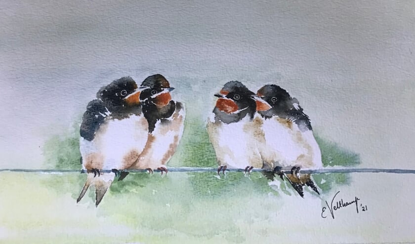 Elles Veltkamp schildert ook veel vogels, zoals deze zwaluwen, die ze toont in Gelselaar. Foto: PR