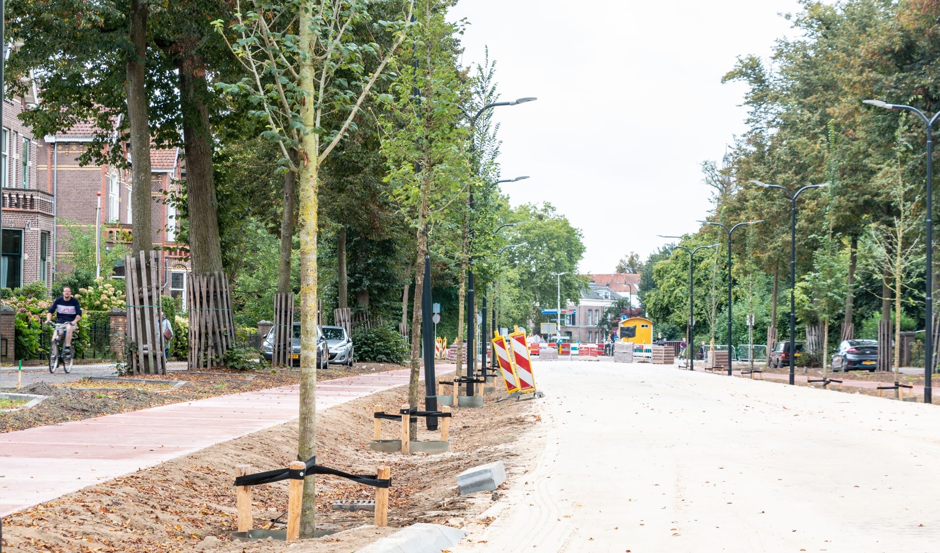 Aanplant van nieuwe bomen op de Deventerweg in Zutphen. Foto: Henk Derksen