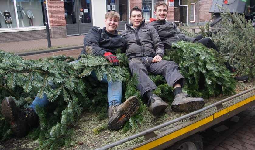 CJV jongeren Jip Niemeijer, Jorn Elburg en Luuk te Beest tussen de kerstbomen. Foto: Frank Vinkenvleugel  