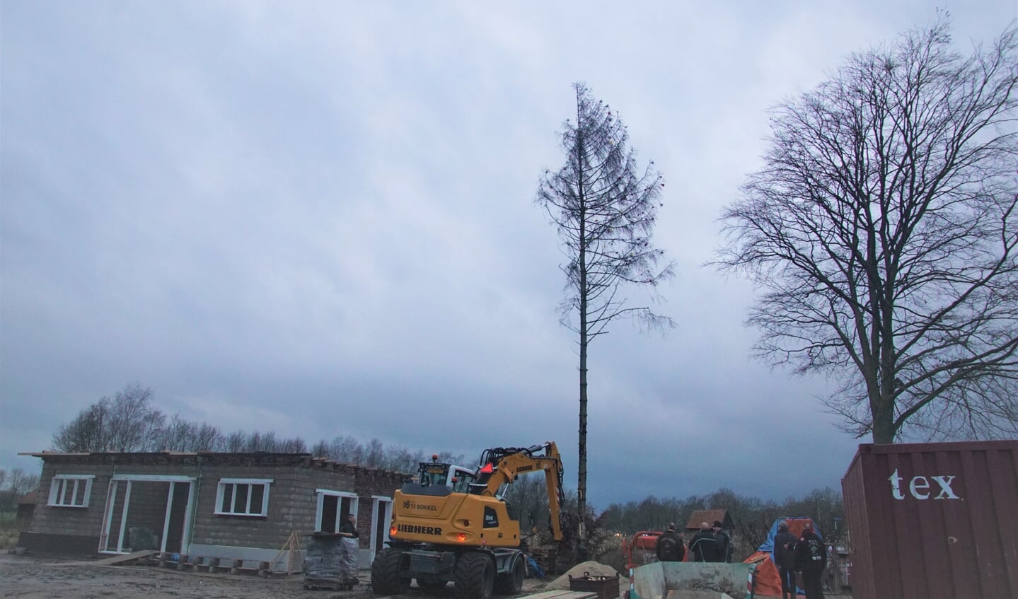 Enorme meiboom wordt geplaatst bij 'De Ganzenkoele'. Foto: Frank Vinkenvleugel
