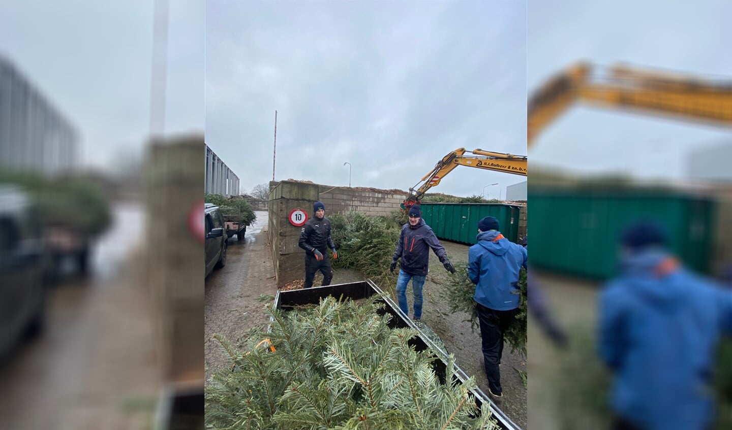De losploeg was flink druk met het versjouwen van alle kerstbomen. Foto: Joppe Roos