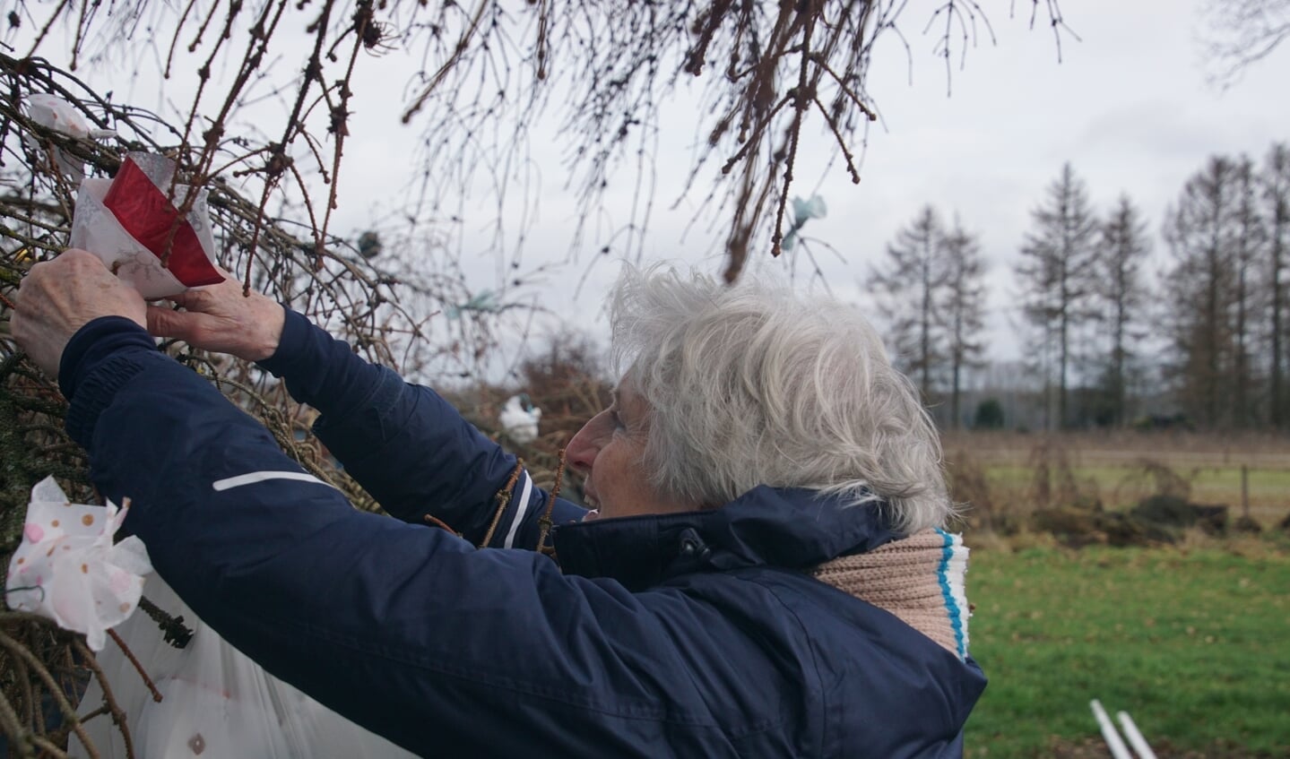 Jo Beyers bevestigt een roosje aan de meiboom. Foto: Frank Vinkenvleugel