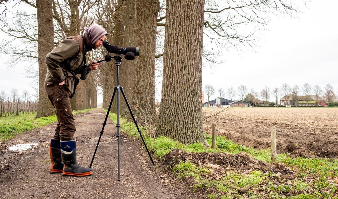 Een teller zoekt de patrijzen in het landschap. Foto: Peter Eekelder