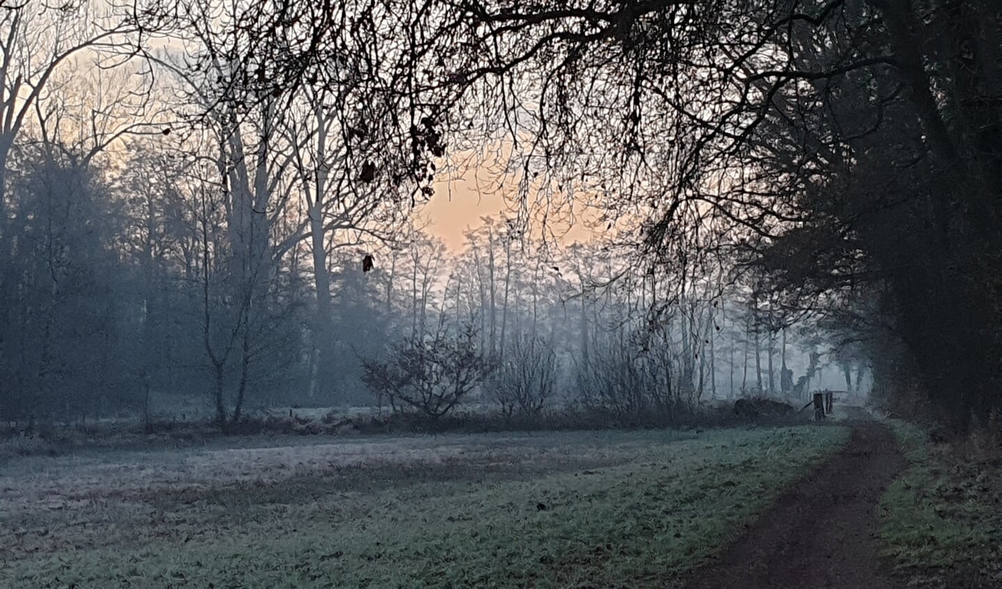 Maandagmorgen 10 januari rondje de Zumpe gemaakt; wat een pracht zo dicht bij huis. Foto: Hennie Thus