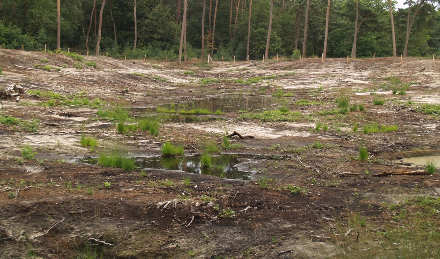 Foto: Pim Leemreijse