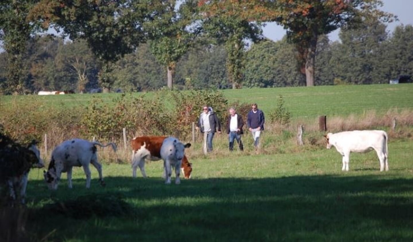Wandeltocht. Foto: Evelien Hillen