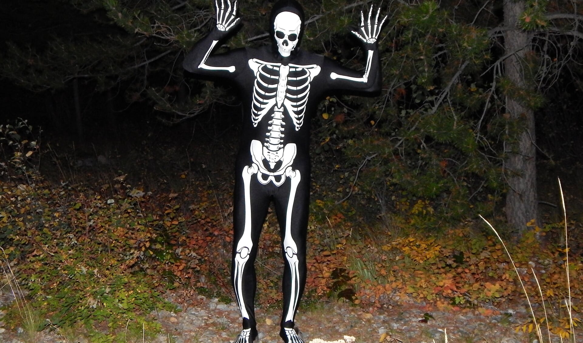Een spookachtig skelet kan een bezoeker zo maar treffen in de doolhof. Foto: PR