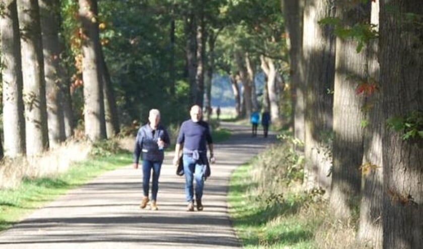 Wandeltocht. Foto: Evelien Hillen