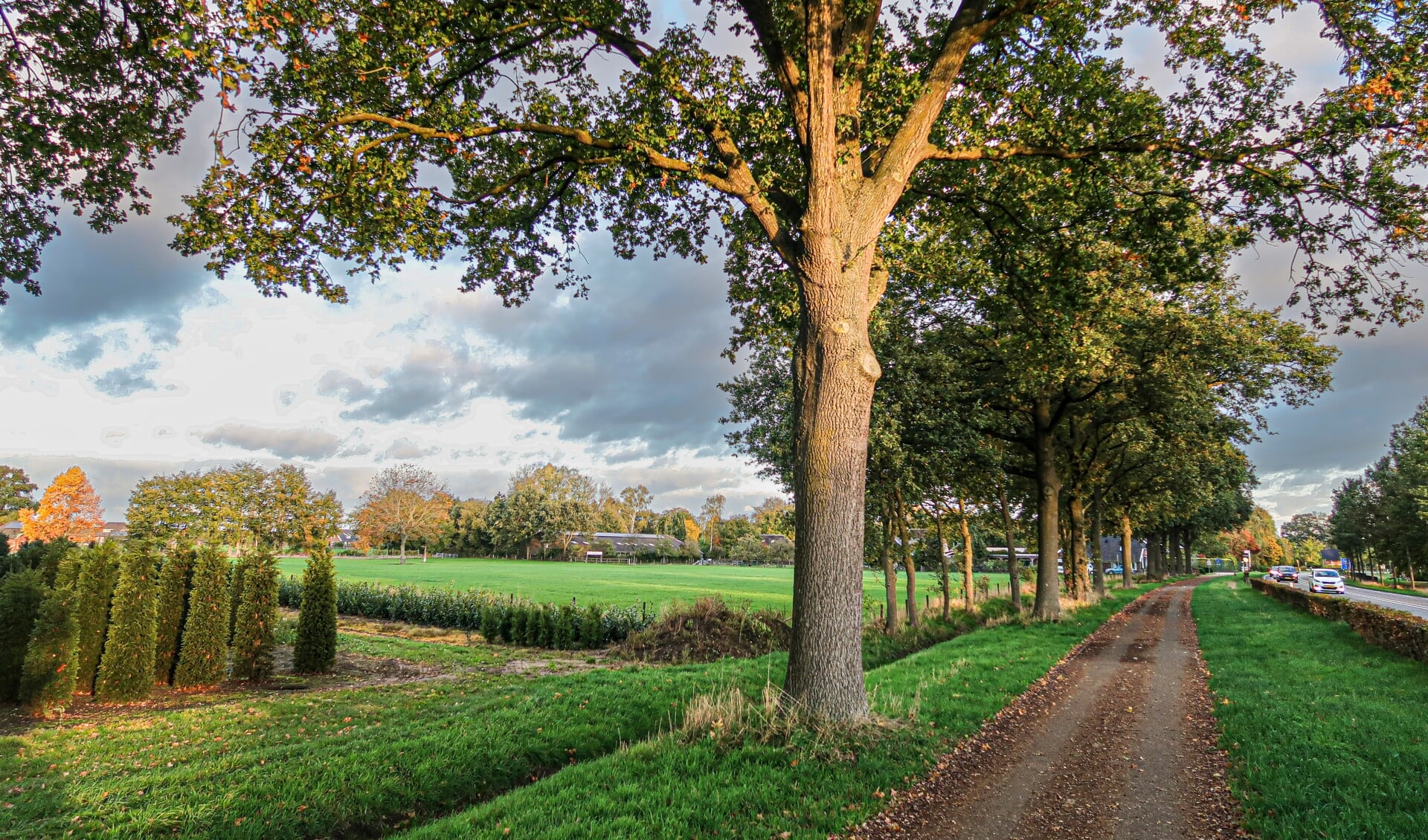 De 40 meter hoge 5G-antennemast krijgt – als het aan Vodafone ligt – een plek in het weiland (links op de foto) aan de Rondweg in Hengelo. Er moet bij de gemeente Bronckhorst nog een omgevingsvergunning worden aangevraagd. Foto: Luuk Stam