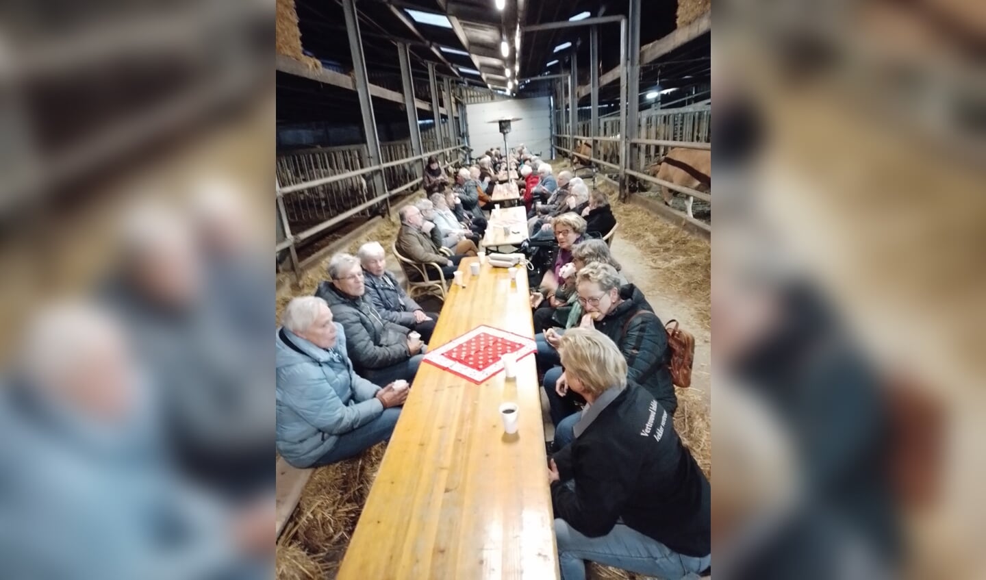 De stal was ingericht met tafels en banken en iedereen zat hier tussen de koeien die het allemaal wel goed vonden en er weinig aandacht aan schonken. Foto: PR