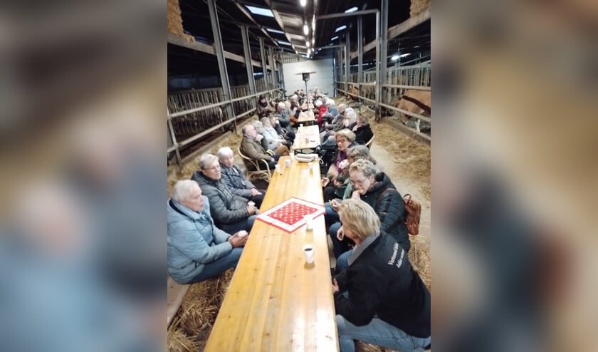De stal was ingericht met tafels en banken en iedereen zat hier tussen de koeien die het allemaal wel goed vonden en er weinig aandacht aan schonken. Foto: PR
