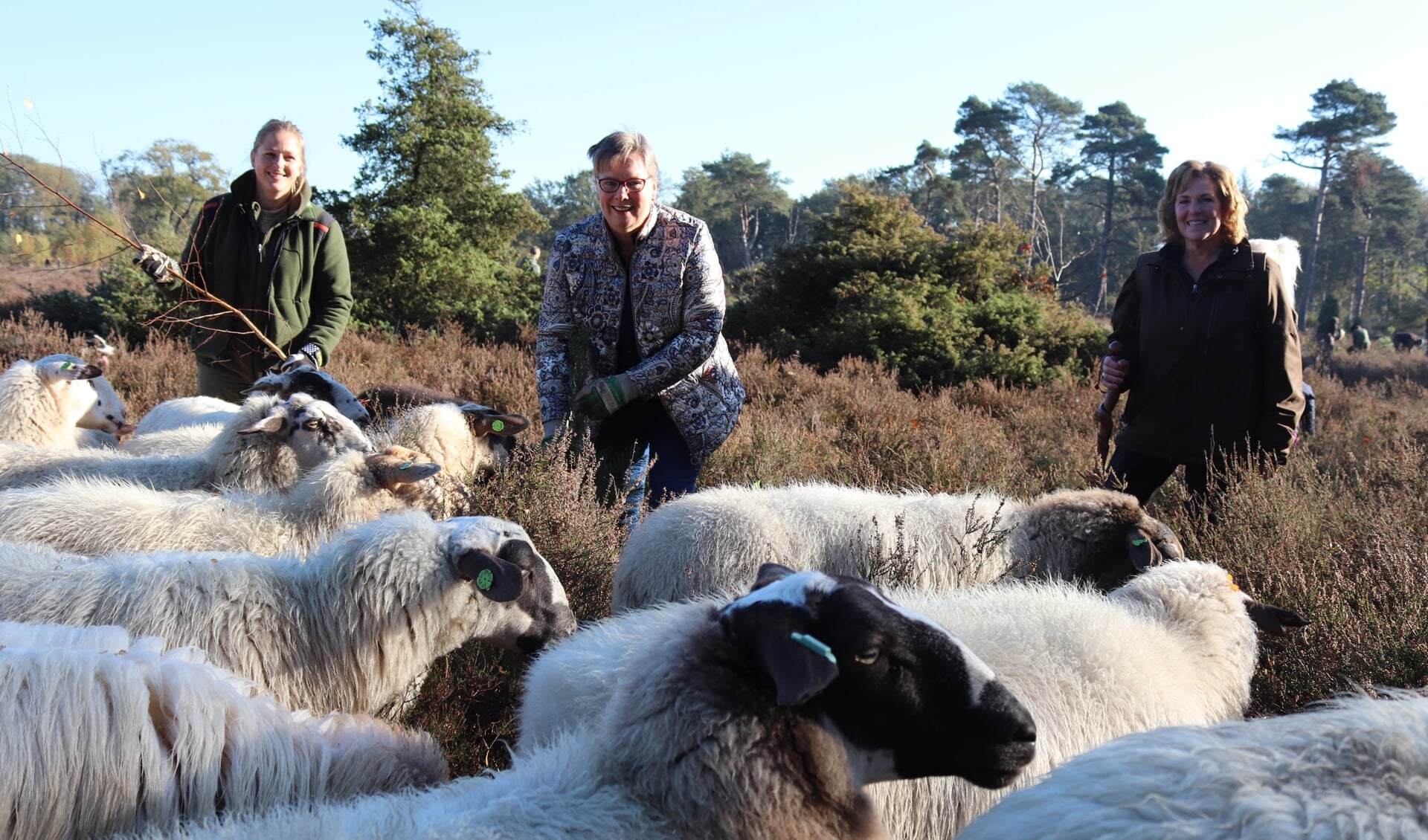 Wethouder Marja Eggink (m.) hielp mee tijdens de Natuurwerkdag. Bijgestaan door boswachter Doreen Rugers (l) en herder Elly  met 280 schapen. Foto: Arjen Dieperink