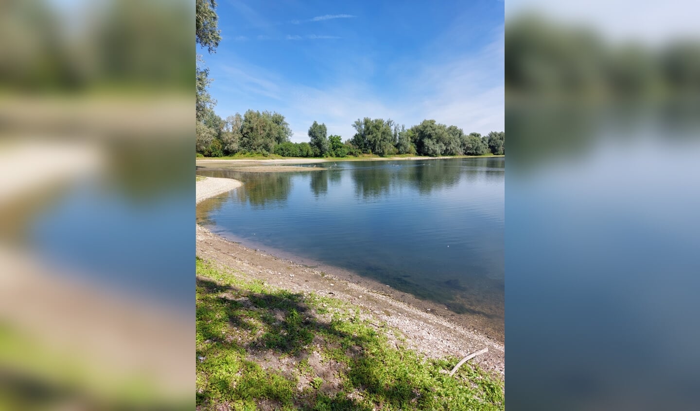 Riviernatuur in de Olburgsche Waard. Foto: Rijkswaterstaat