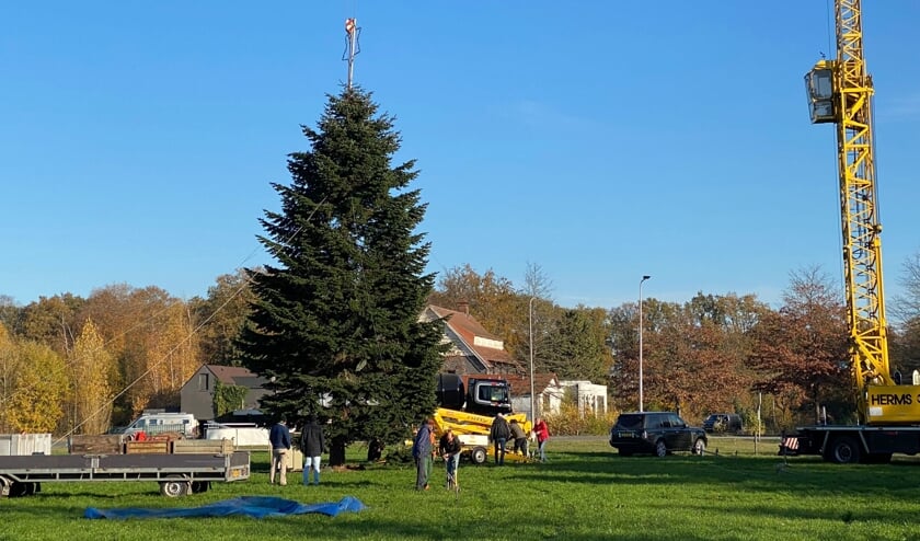De boom voor SterrenStralen staat op zijn plaats. Foto: Hans Servaas