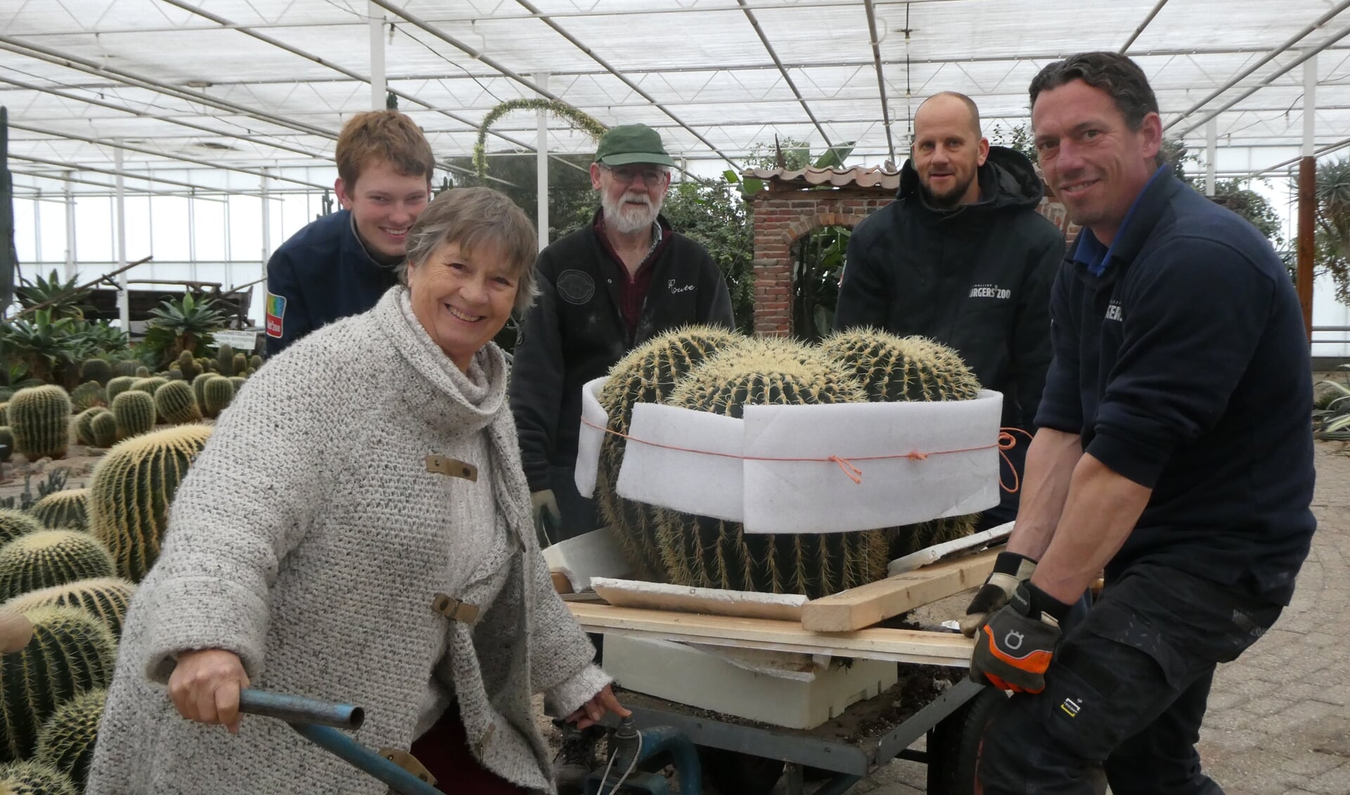 Anny en Bert van der Meer, samen met Jeroen Kuiper, Arjan Marsman en Jesse Hendriks tillen een van de zwaarste cactussen op een karretje.  Foto: Jan Hendriksen