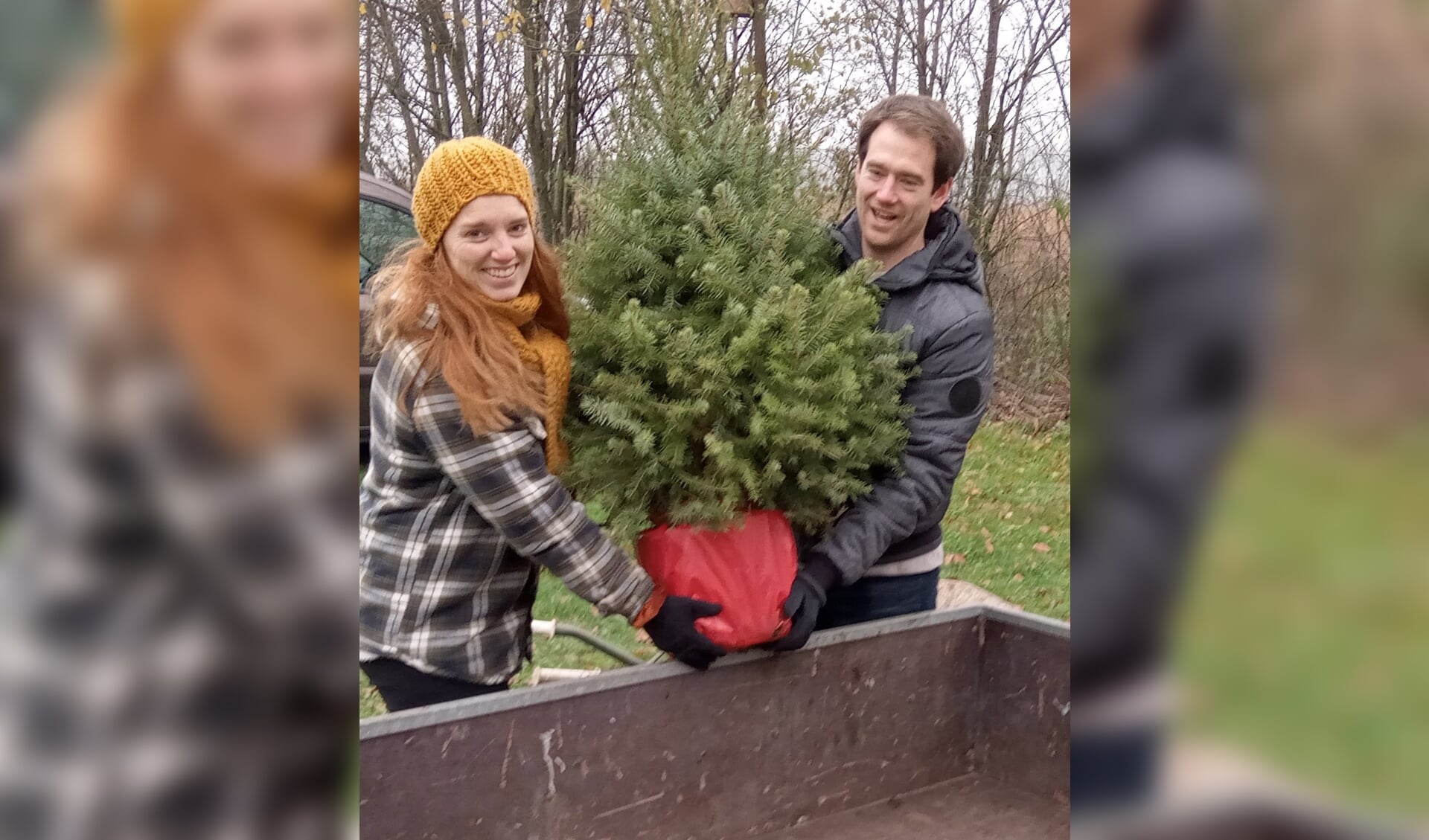 Verlichten Aziatisch Koninklijke familie Plant je kerstboom terug bij de kerstboomgaard | Het laatste nieuws uit  Vorden en omgeving