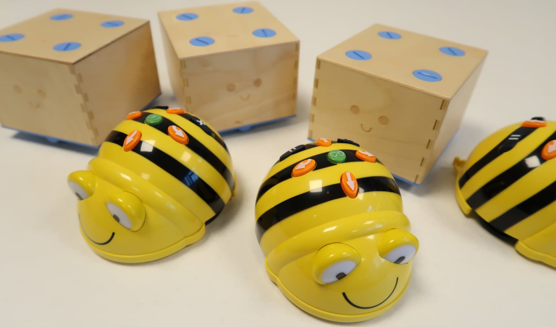 Leren progammeren met BeeBot en Cubetto. Foto: PR