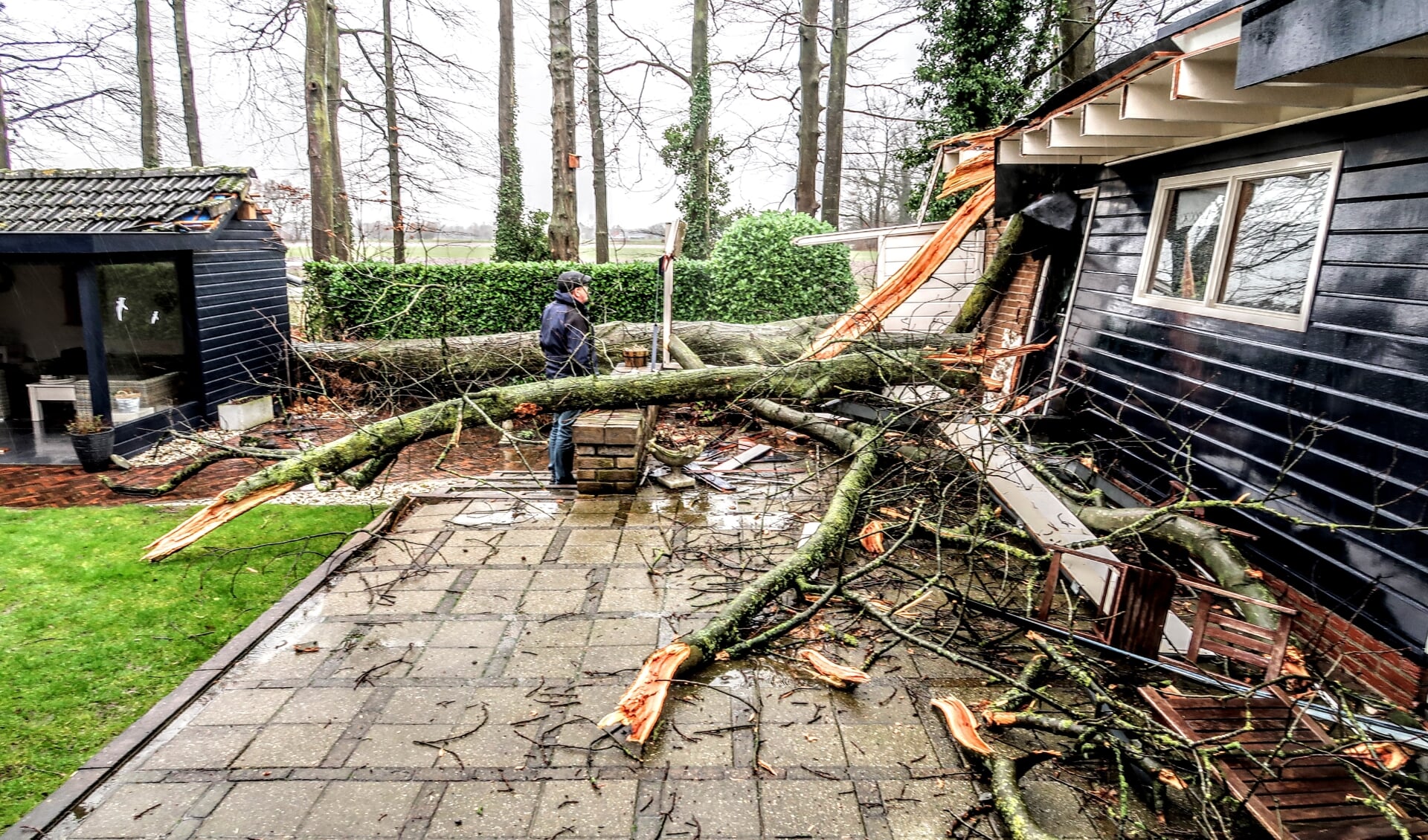 Johan Wullink bekijkt de schade die een vallende boom vanuit de Regelinklaan achter zijn huis heeft aangericht. Foto: Luuk Stam