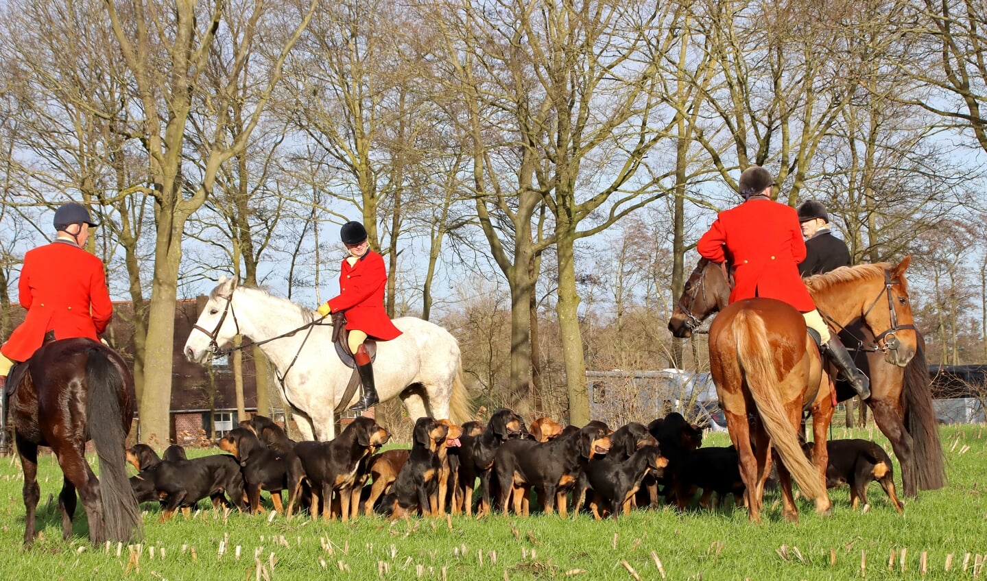 De ruiters en honden verzamelen zich. Foto: Jan Oberink