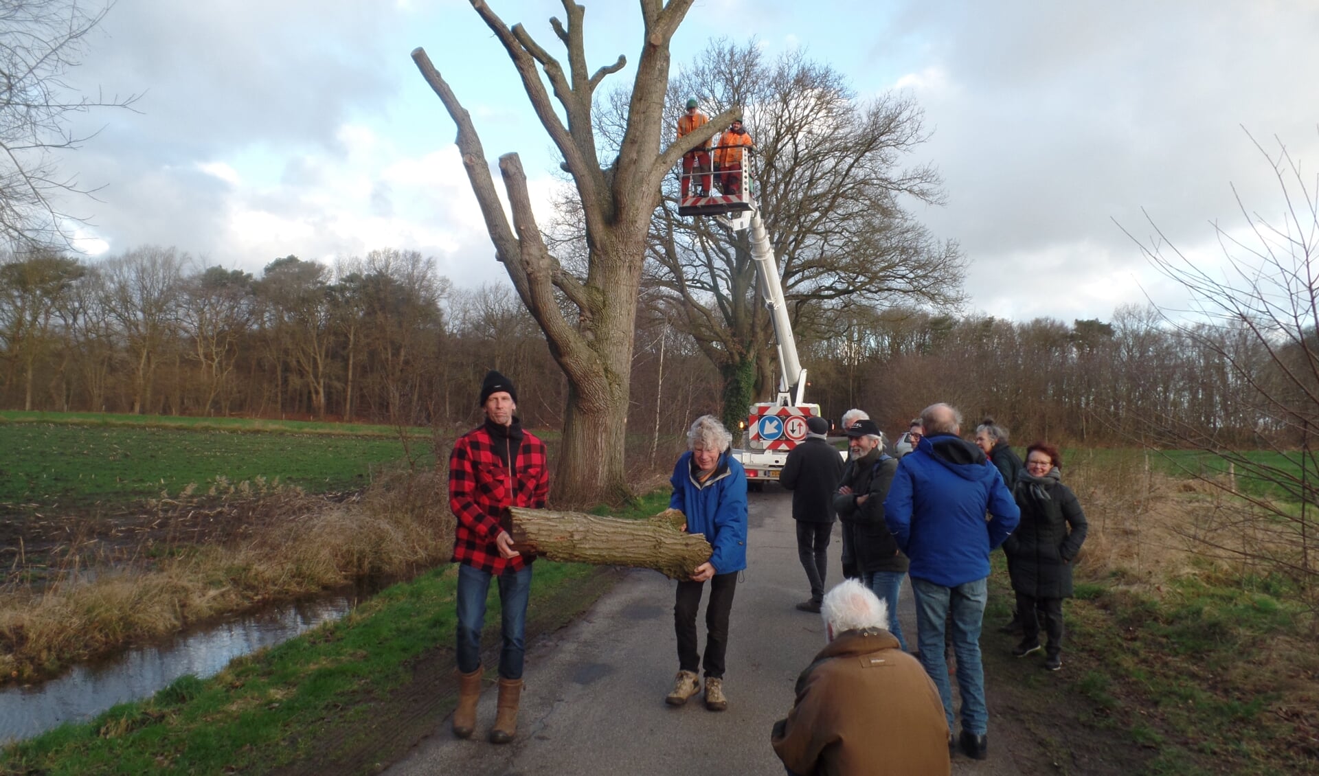 Veel van de vijftien deelnemende kunstenaars kwamen zelf uitzoeken welk deel van de boom ze wilden hebben. Foto: Jan Hendriksen
