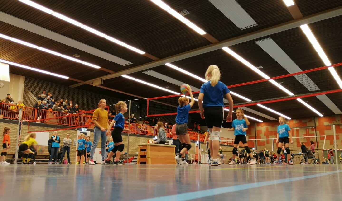 Piepjonge volleyballers leren de grondbeginselen van de sport. Foto: PR