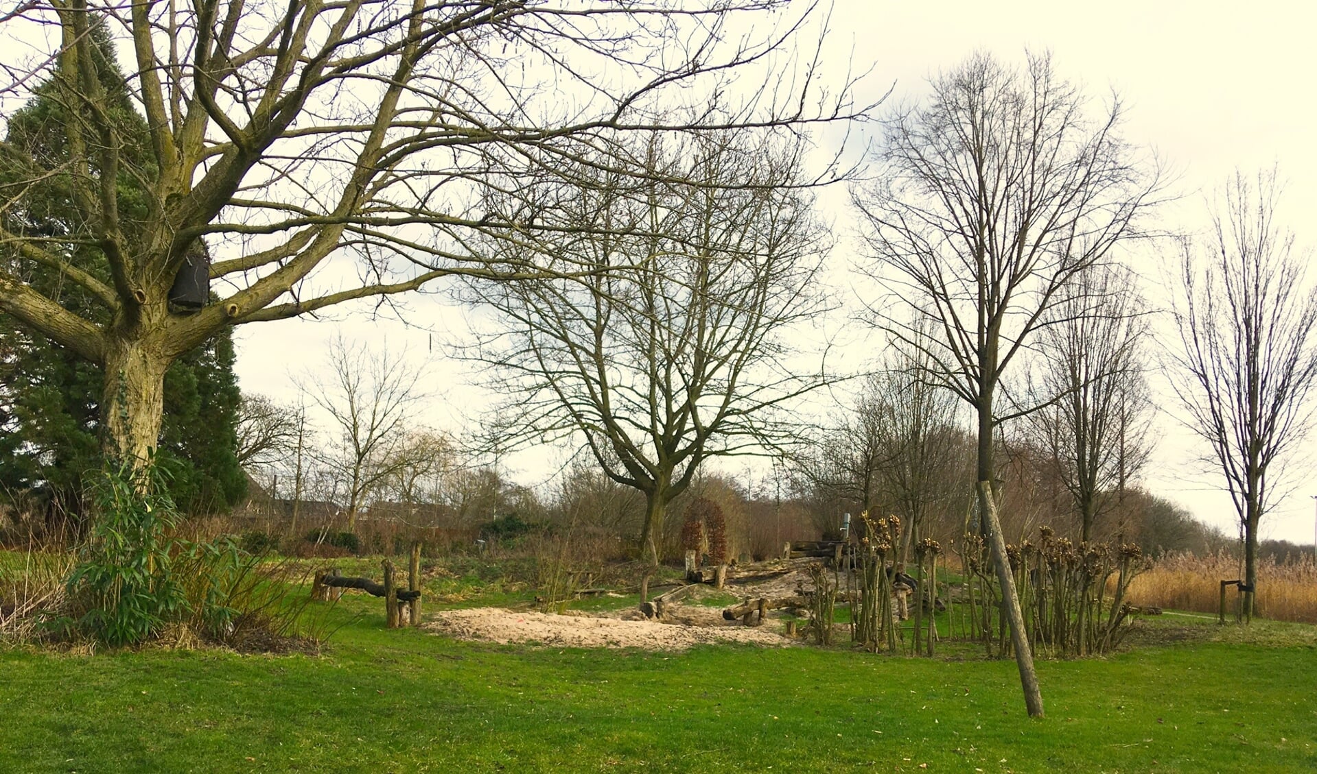 Cool Nature Park de Bleijke. Foto: Marga Limbeek