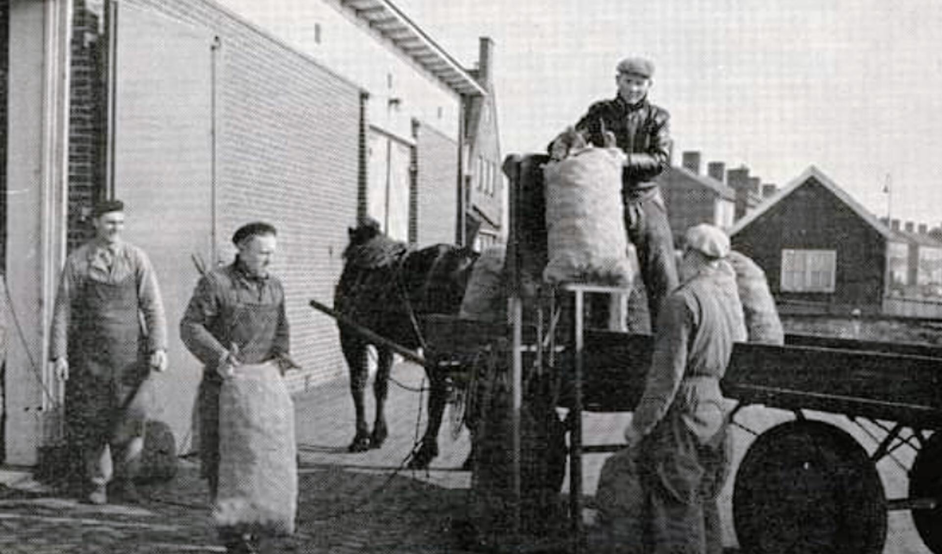 Landbouw Aalten, 1958. Foto: collectie Leo van der Linde