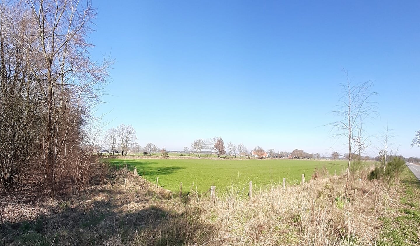 Als het aan de actiegroep in Hupsel ligt komt dit weiland niet vol te liggen met zonnepanelen. Foto: PR