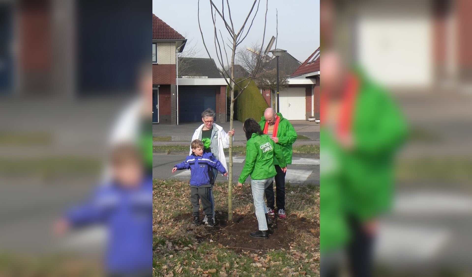 Drie leden van GroenLinks Berkelland planten een boom op de Nieuwe Weg. Foto: PR