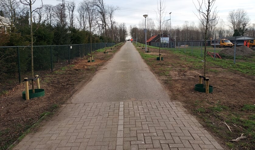 Jonge boompjes langs het Speeltuinpad.