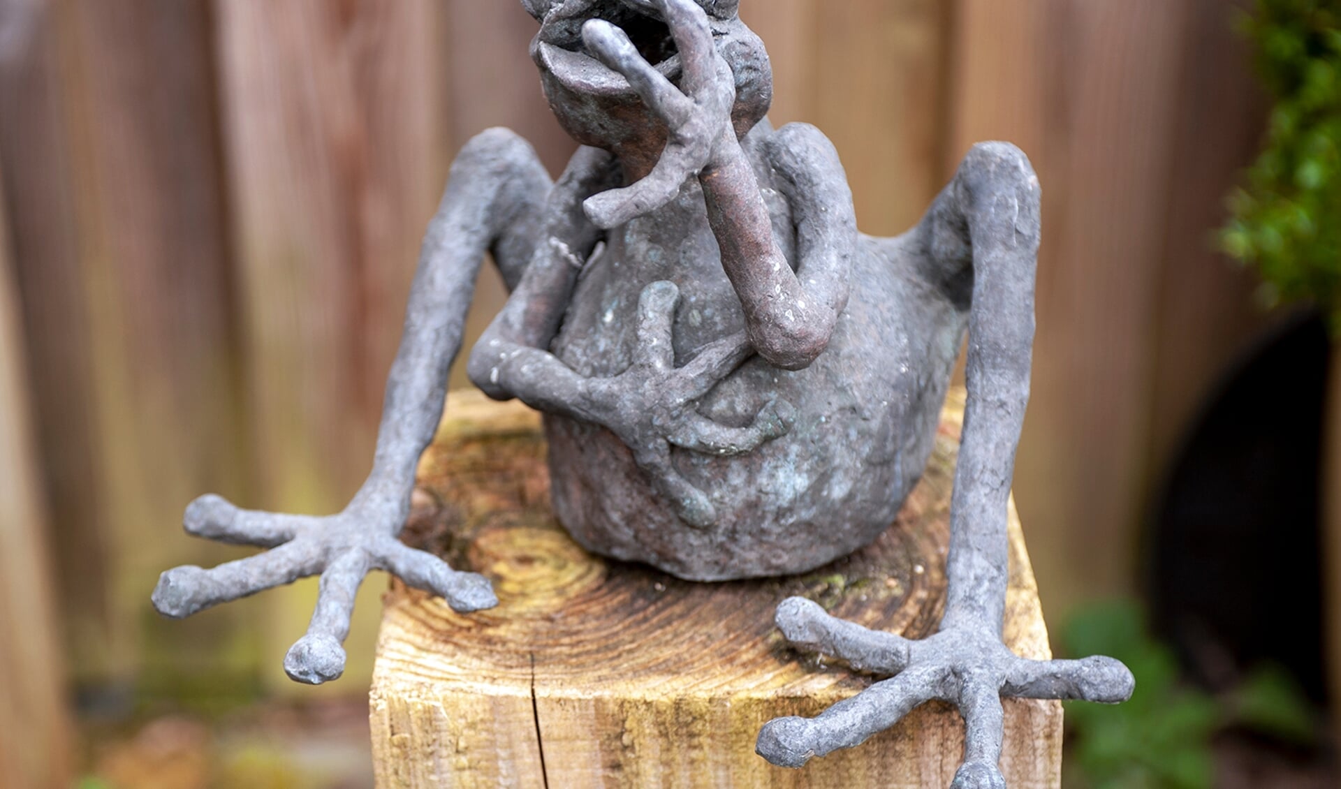 Bronzen kikker. Foto: Hendriks Fotografie