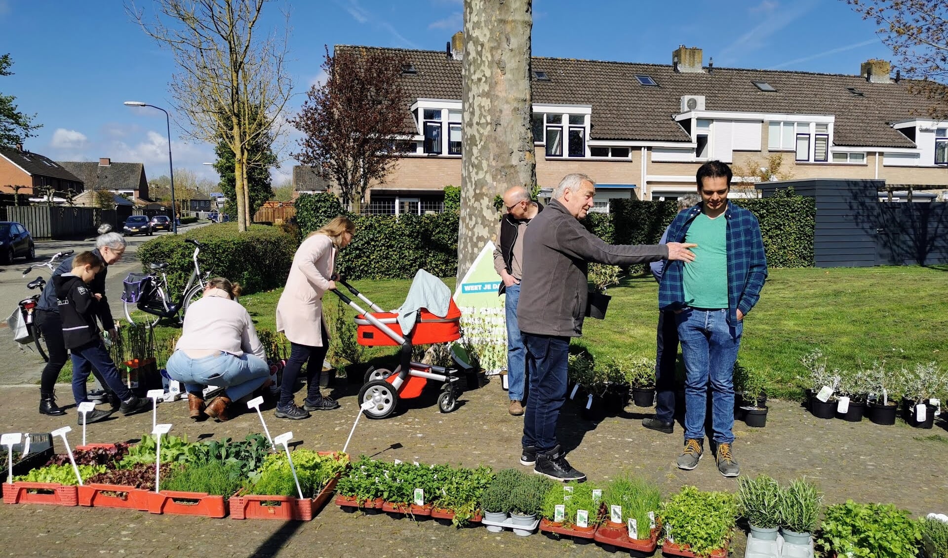 Inwoners leveren tegels in voor tuinplanten in Varsseveld. Foto: PR