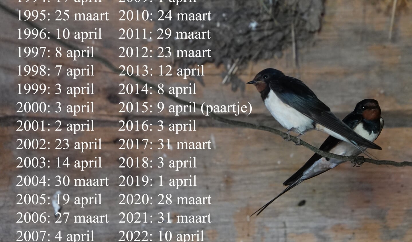 Arend Heideman noteerde op boerderij Stokkink al voor het dertigste achtereenvolgende jaar de aankomstdatum van de boerenzwaluw. Foto: Arend Heideman