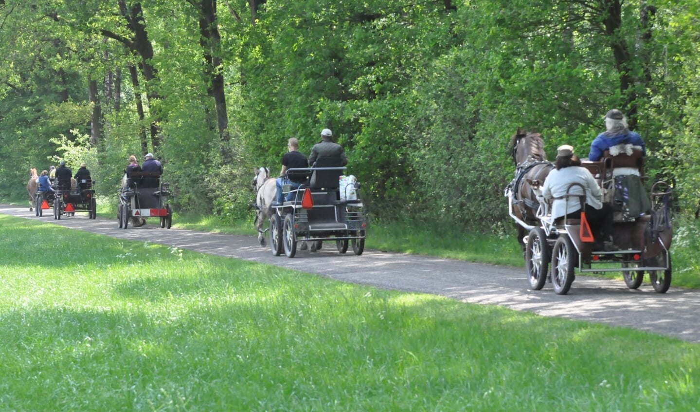Een eerdere Bronckhorster Paardenmeerdaagse. Foto: Theo Jansen