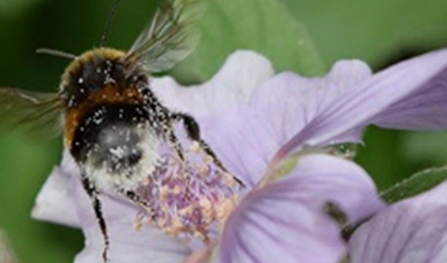Biodiversiteit op je bord, op bezoek bij de boer. Foto: PR