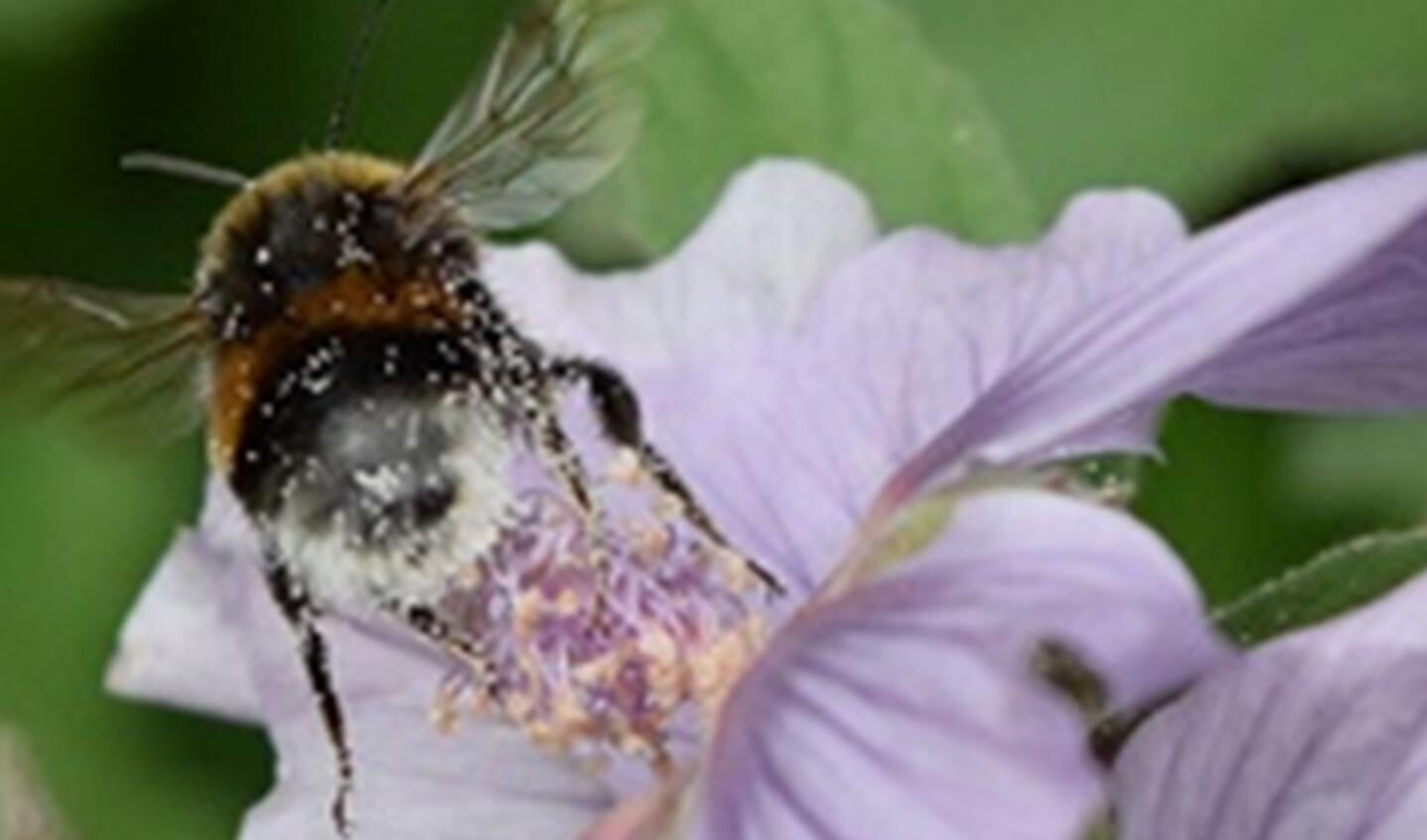 Biodiversiteit op je bord, op bezoek bij de boer. Foto: PR