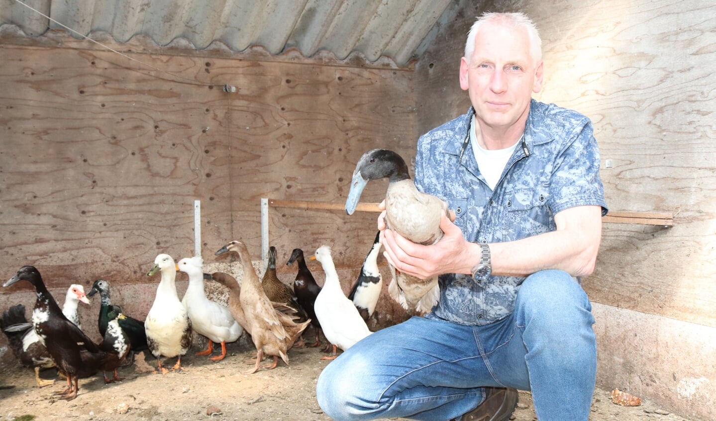 Gerrit Eikelkamp laat trots zijn krombekeend zien. Foto: Arjen Dieperink
