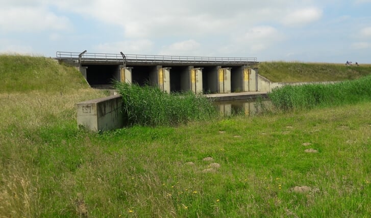 Afbeelding