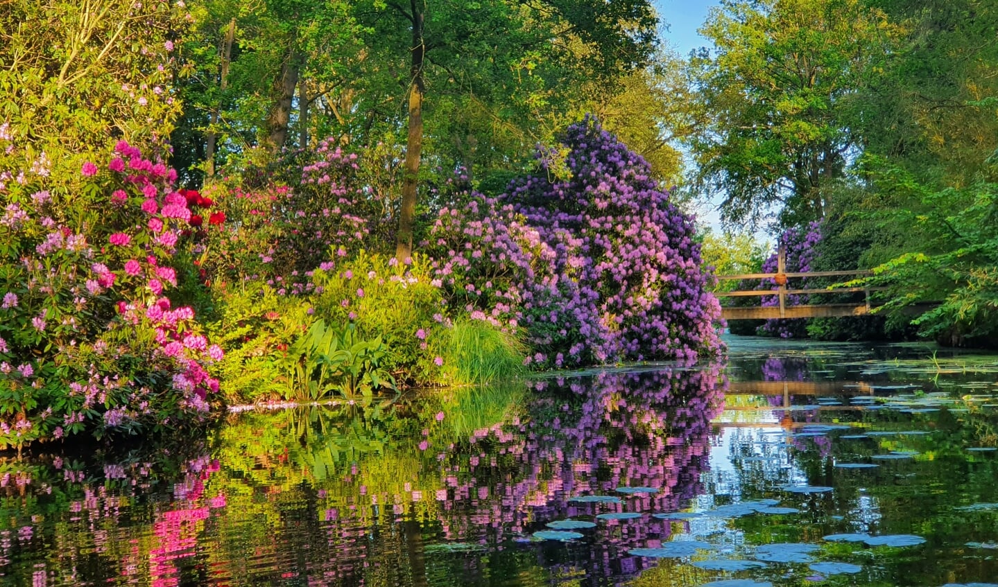 De tuinen zijn een levend schilderij van kleur en geur door de bloeiende Rhododendrons. Foto: PR